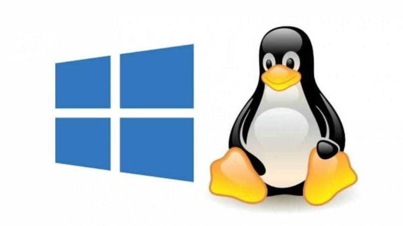 Hospedagem-Linux-ou-Hospedagem-Windows